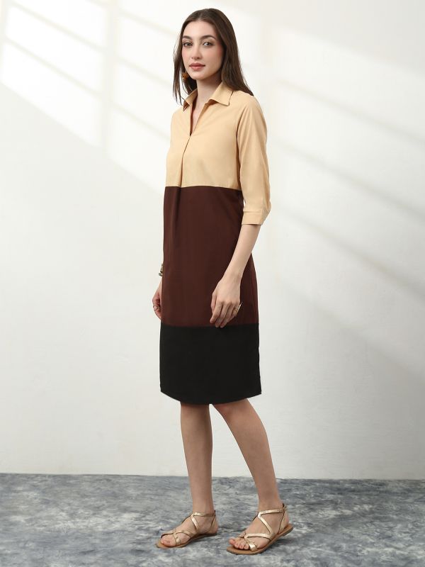 Globus Women Brown Collared Neck Pleated Colorblock A-Line Midi Workwear Dress