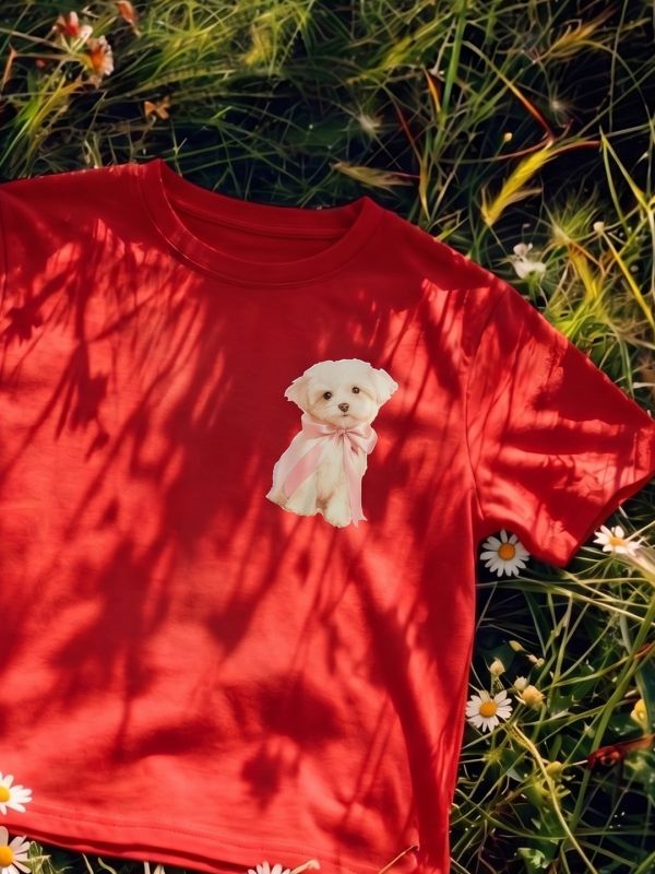 Globus Women Red Round Neck Short Sleeves Graphic Print Oversized Fit T-Shirt